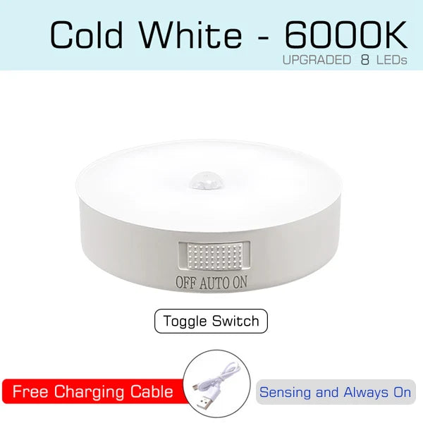 Rechargeable Motion Sensor LED Light